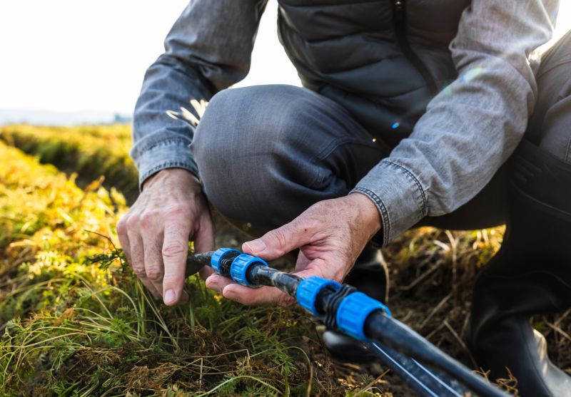 Garden Irrigation Line Service