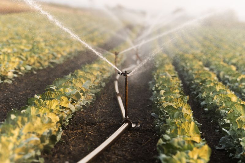 Garden Irrigation Installation in Aiken, SC