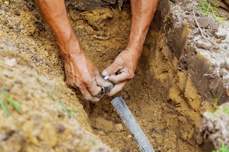 Garden Sprinkler Replacement in Honolulu, HI