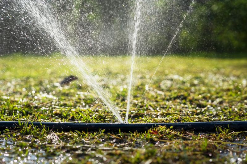 Sprinkler Line Repair in Honolulu, HI