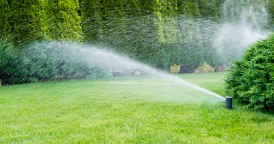 Grass Sprinkler Repair in Aiken, SC