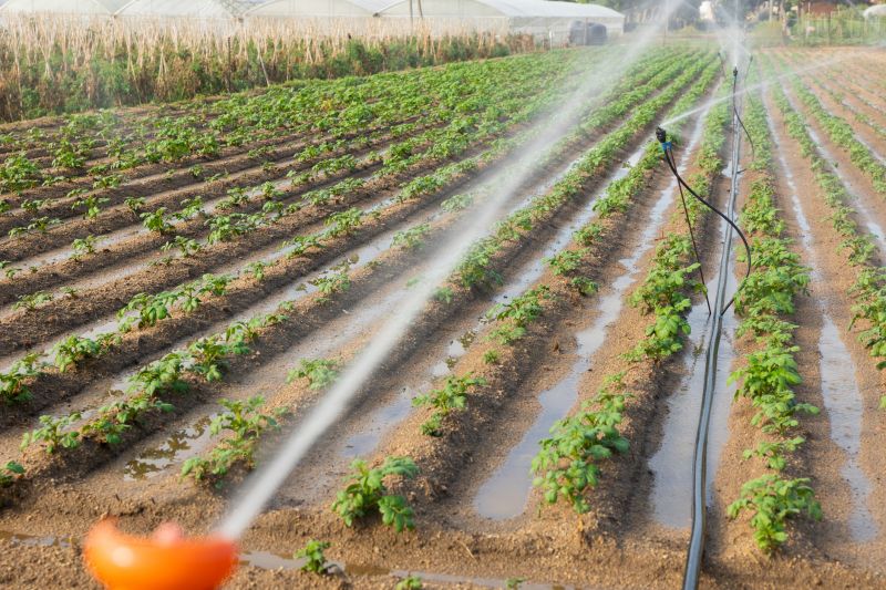 Watering System Installation in Aiken, SC