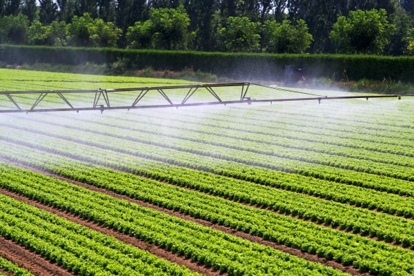 Mist Irrigation Installation - Mist Irrigation Installation Prairie Village, Kansas